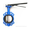 WAFER TYPE DOUBLE DISE CHECK VALVE cast iron wafer type butterfly valve/with pin Factory